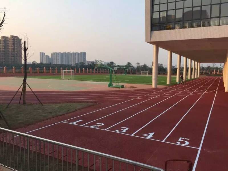 广州塑胶跑道 湘潭和平小学3000平方混合型跑道竣工！